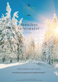 Sodnikov informator